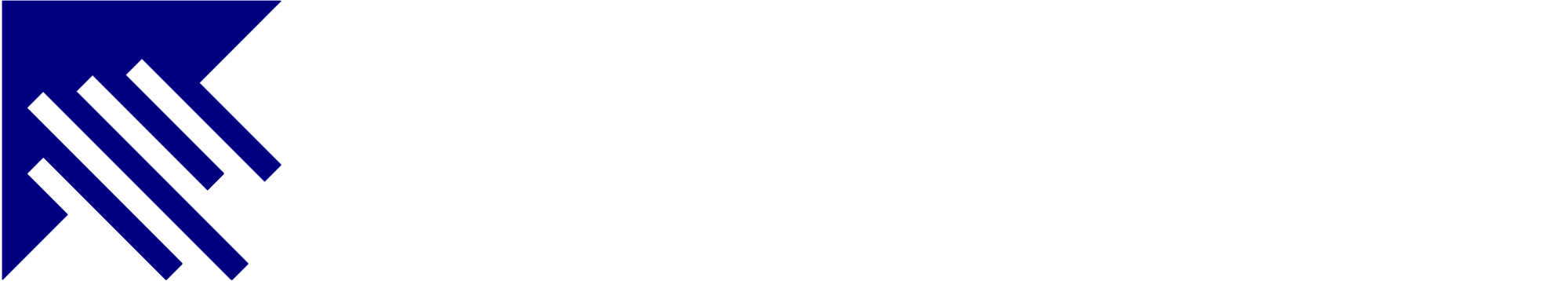 LeadLaunch Solutions